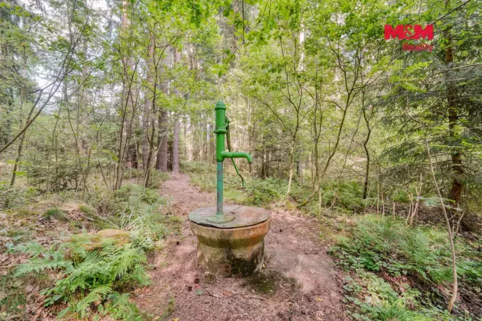 Prodej chaty, Stráž - Borek, 45 m2