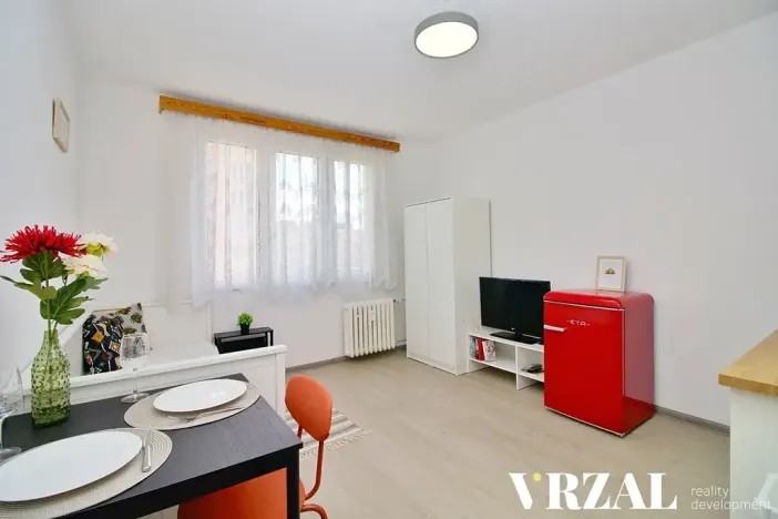 Pronájem bytu 1+kk, Plzeň, Heyrovského, 20 m2