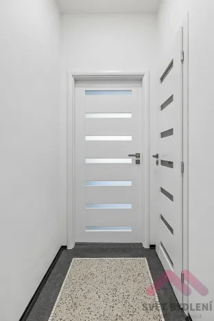 Pronájem bytu 1+kk, Praha - Žižkov, Biskupcova, 25 m2