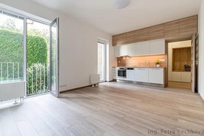 Pronájem bytu 1+kk, Brno - Zábrdovice, Francouzská, 30 m2