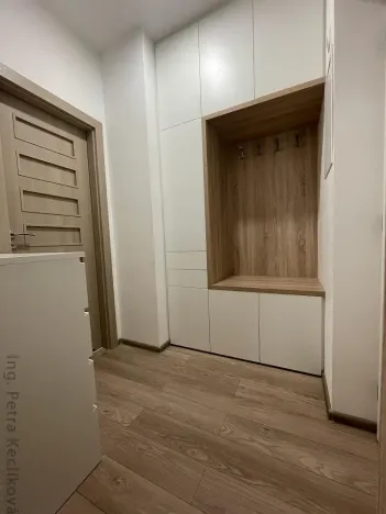 Pronájem bytu 1+kk, Brno - Zábrdovice, Francouzská, 30 m2