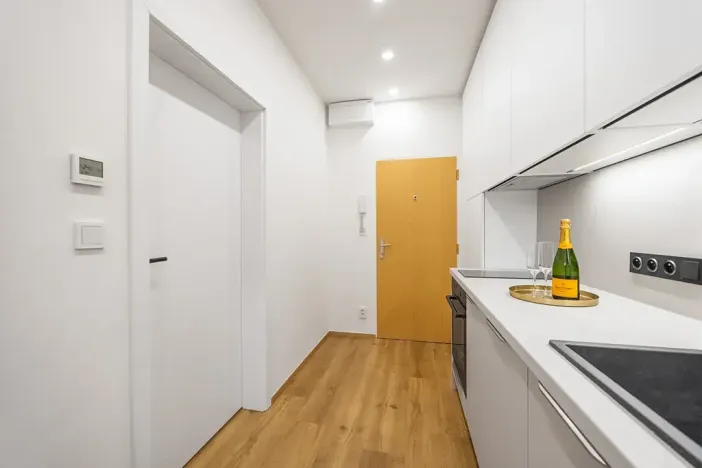 Prodej bytu 1+1, Praha - Nusle, Dačického, 31 m2