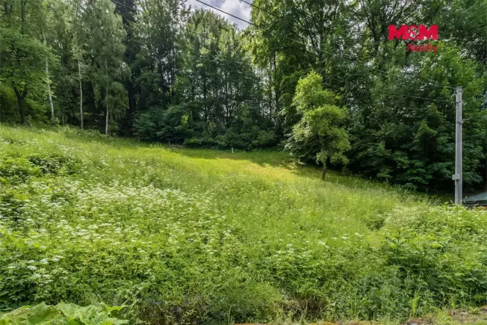 Prodej pozemku pro bydlení, Dolní Dvůr, 9366 m2