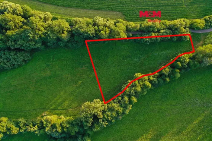 Prodej louky, Horní Bříza, 4590 m2