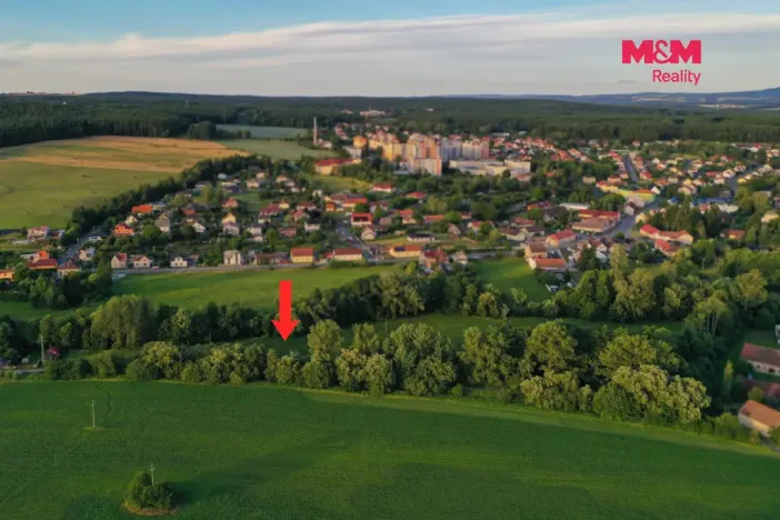Prodej louky, Horní Bříza, 4590 m2