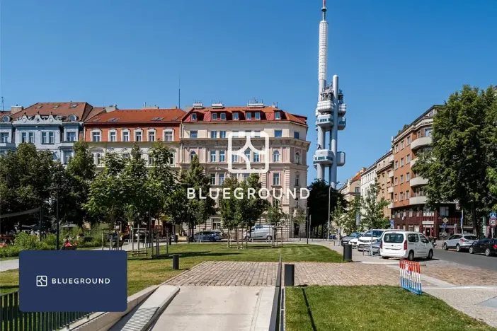 Pronájem bytu 1+1, Praha - Vinohrady, Řipská, 38 m2