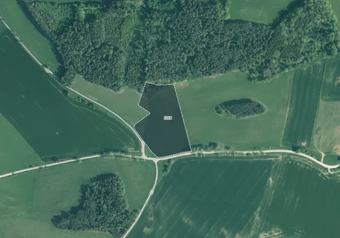 Prodej pole, Kuřimany, 5903 m2