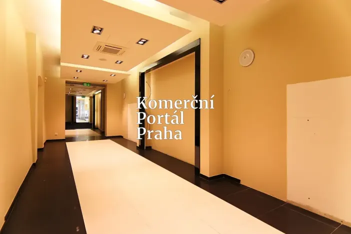 Pronájem obchodního prostoru, Praha - Nové Město, Václavské náměstí, 309 m2