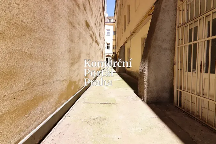 Pronájem obchodního prostoru, Praha - Nové Město, Václavské náměstí, 309 m2