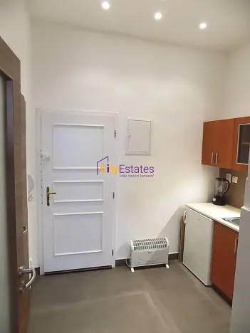 Pronájem bytu 1+kk, Praha - Žižkov, Vlkova, 26 m2