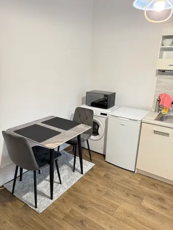 Pronájem bytu 1+1, Karlovy Vary, Moskevská, 40 m2