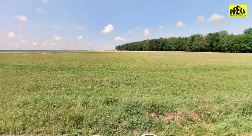 Prodej komerčního pozemku, Planá nad Lužnicí, 1838 m2
