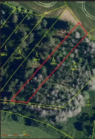 Prodej lesa, Křoví, 1060 m2