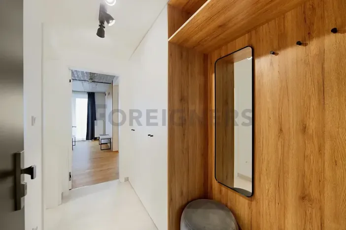 Pronájem bytu 2+kk, Brno, Cejl, 47 m2