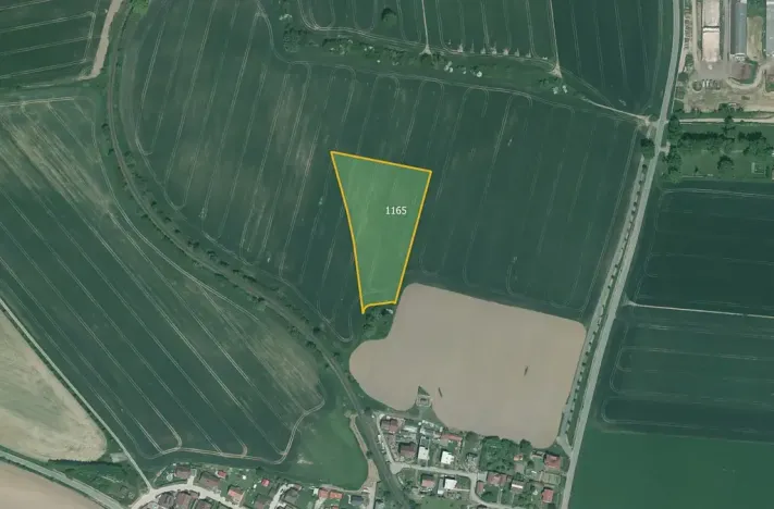 Prodej pole, Poběžovice, 64029 m2
