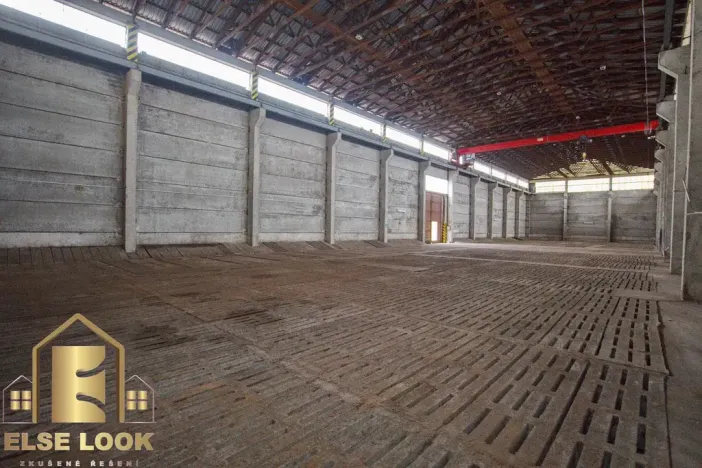 Pronájem skladu, Třebechovice pod Orebem, Plk. Zavorala, 6060 m2