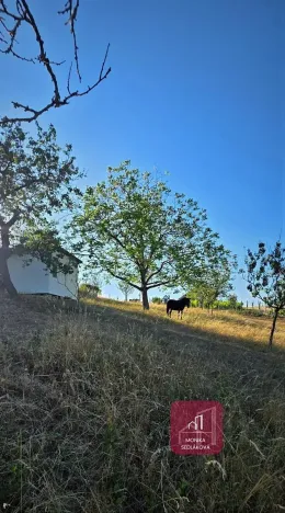 Prodej zahrady, Tvarožná, 1236 m2