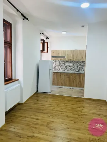 Pronájem bytu 1+kk, Olomouc, Uhelná, 30 m2