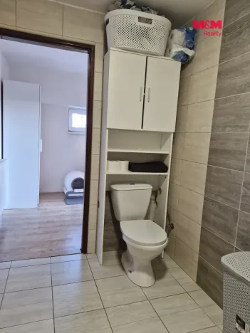 Pronájem atypického bytu, Droužkovice, Rudé armády, 62 m2