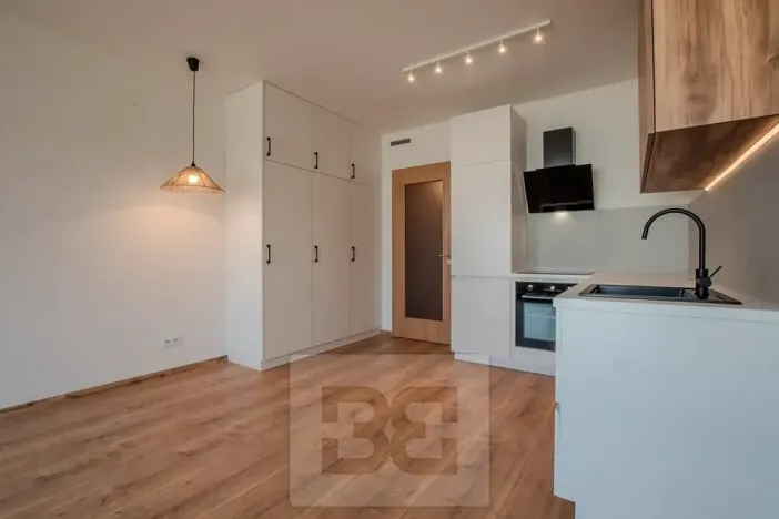 Pronájem bytu 1+kk, Praha - Vysočany, Střídavá, 36 m2
