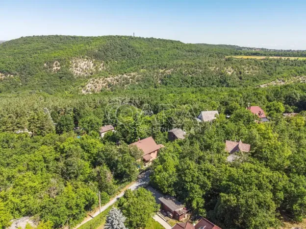 Prodej chaty, Dolní Břežany, U Lesa, 50 m2