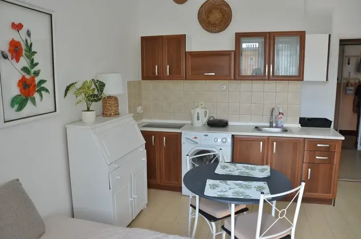 Pronájem bytu 1+kk, Praha, Pelhřimovská, 27 m2