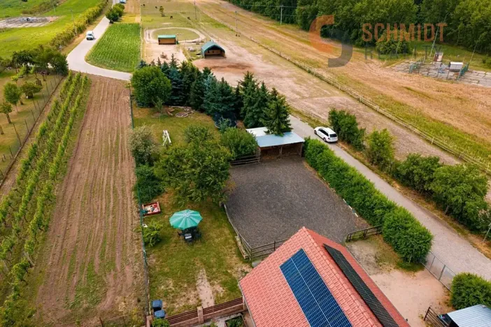 Prodej rodinného domu, Kostice, Břeclavská, 190 m2