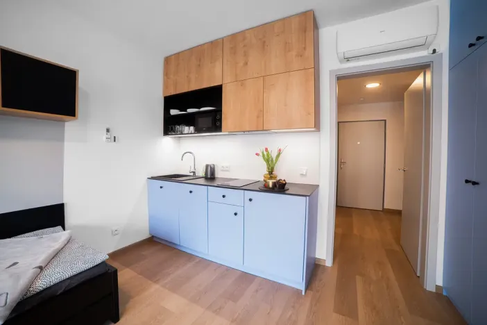 Pronájem bytu 1+kk, Olomouc, Edmunda Husserla, 29 m2