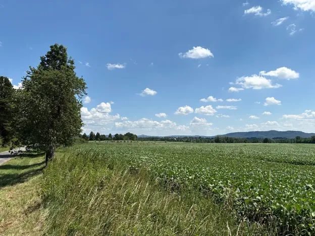Prodej pozemku pro bydlení, Chocnějovice, 5604 m2