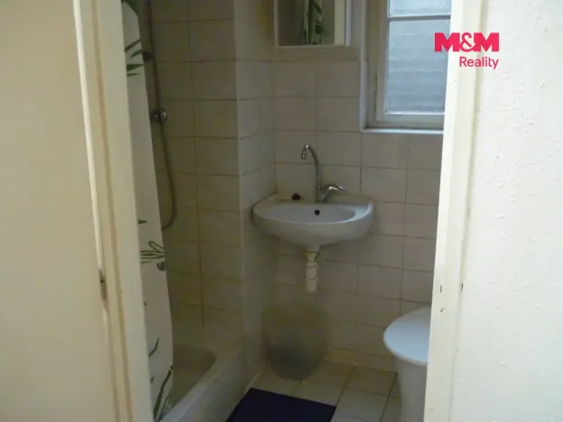 Pronájem bytu 1+kk, Praha - Vinohrady, Mánesova, 17 m2