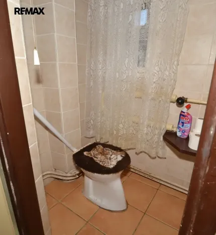 Prodej rodinného domu, Chrást, 9. května, 245 m2