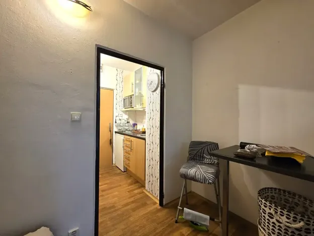 Pronájem bytu 1+kk, Brno, Jedovnická, 20 m2