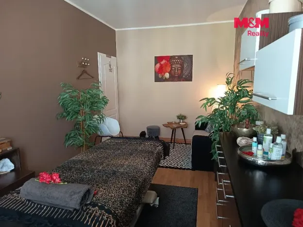 Pronájem bytu 2+kk, Strakonice - Strakonice I, Palackého náměstí, 55 m2