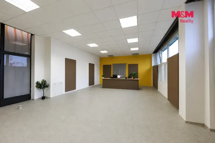 Pronájem obchodního prostoru, Plzeň - Jižní Předměstí, Husova, 93 m2
