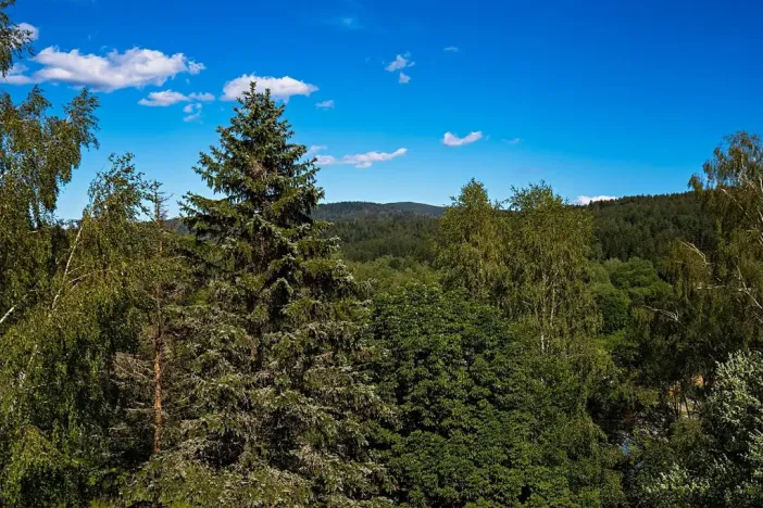 Prodej bytu 2+kk, Bayerisch Eisenstein, Německo, Brennesstraße, 58 m2