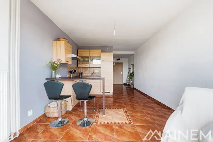 Prodej bytu 2+kk, Plzeň, Klatovská, 43 m2