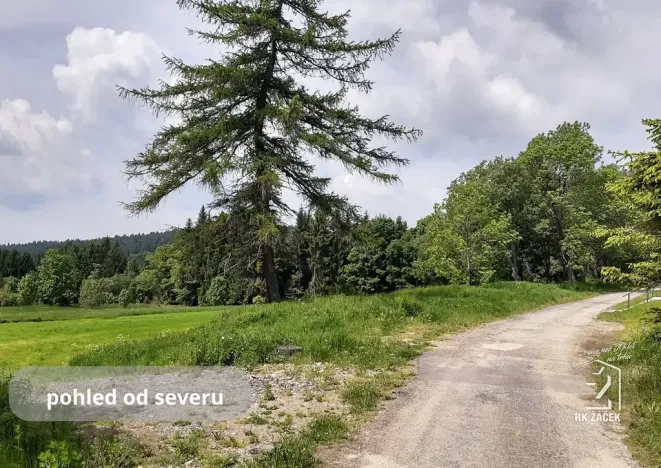 Prodej pozemku pro bydlení, Přední Výtoň, Svatý Tomáš, 2479 m2
