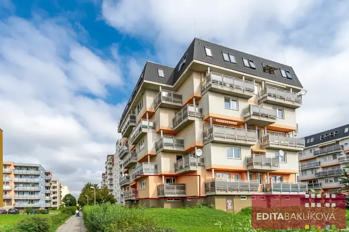 Pronájem bytu 1+kk, Olomouc, Handkeho, 43 m2
