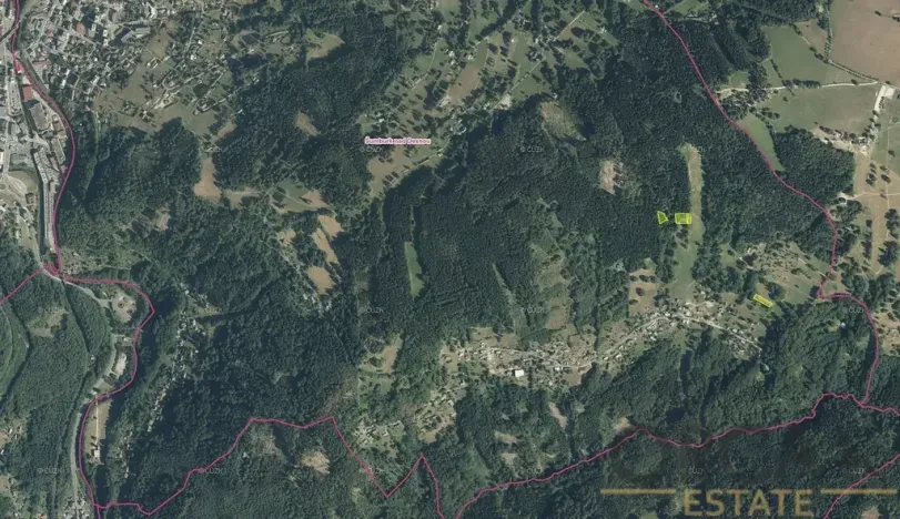 Prodej louky, Tanvald, 2920 m2