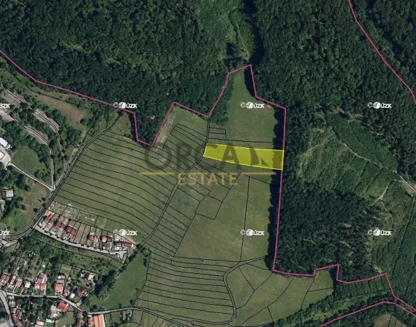 Prodej pole, Kanice, 5202 m2
