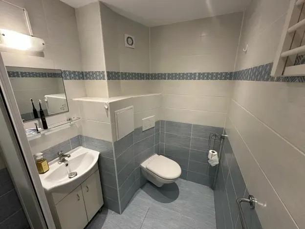Pronájem bytu 1+kk, Hradec Králové, Hradecká, 30 m2