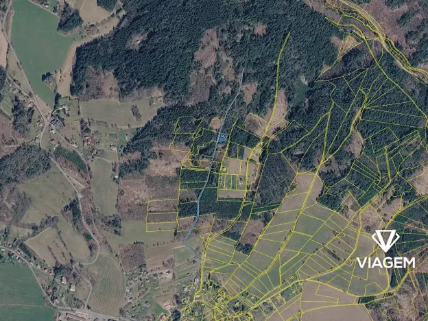 Prodej podílu lesa, Železný Brod, 881 m2