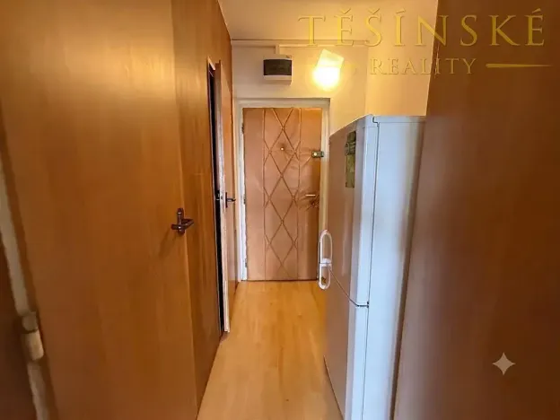 Prodej bytu 1+kk, Český Těšín, Slezská, 29 m2