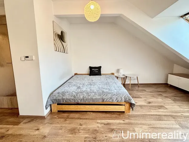 Pronájem bytu 1+kk, Praha - Vinohrady, Šrobárova, 50 m2