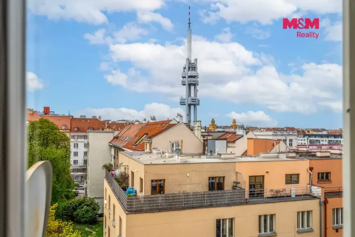 Prodej bytu 2+1, Praha - Žižkov, Baranova, 90 m2