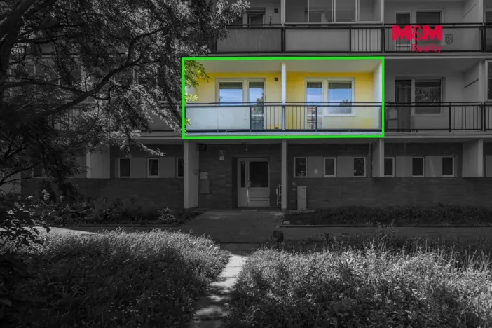 Prodej bytu 1+1, Olomouc - Nová Ulice, I. P. Pavlova, 35 m2