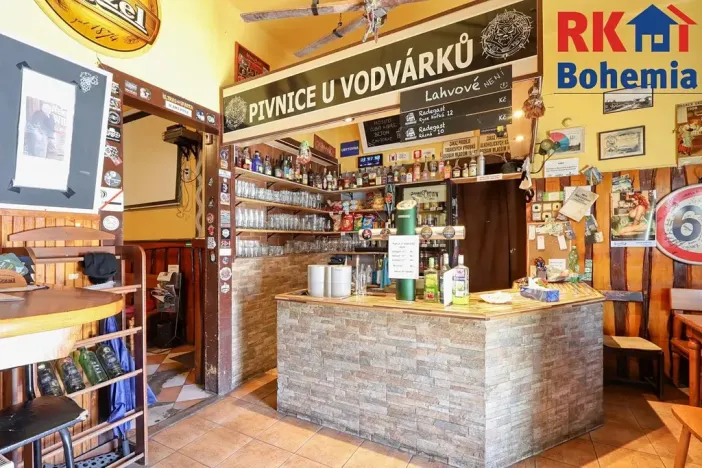 Prodej rodinného domu, Kolín, Veltrubská, 411 m2
