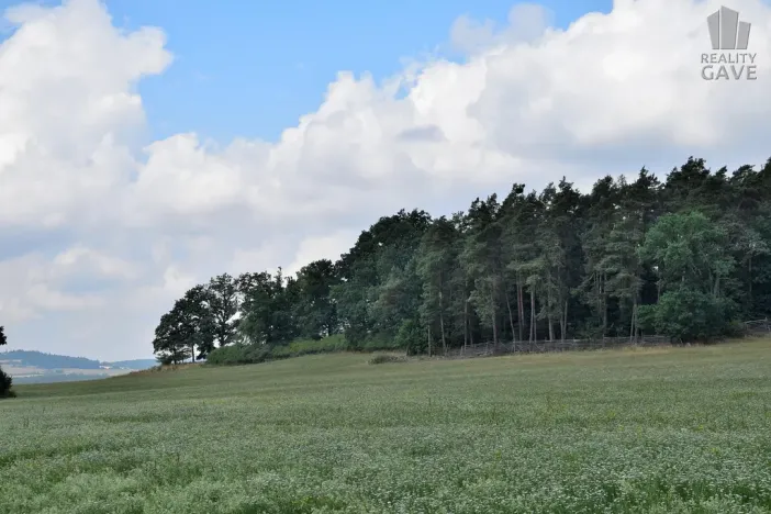 Prodej rodinného domu, Čečelovice, 360 m2