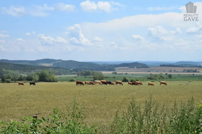 Prodej rodinného domu, Čečelovice, 360 m2
