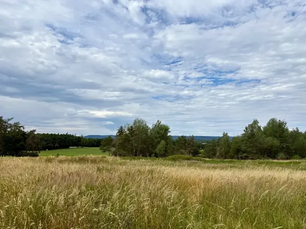 Prodej louky, Rybníky, 16399 m2